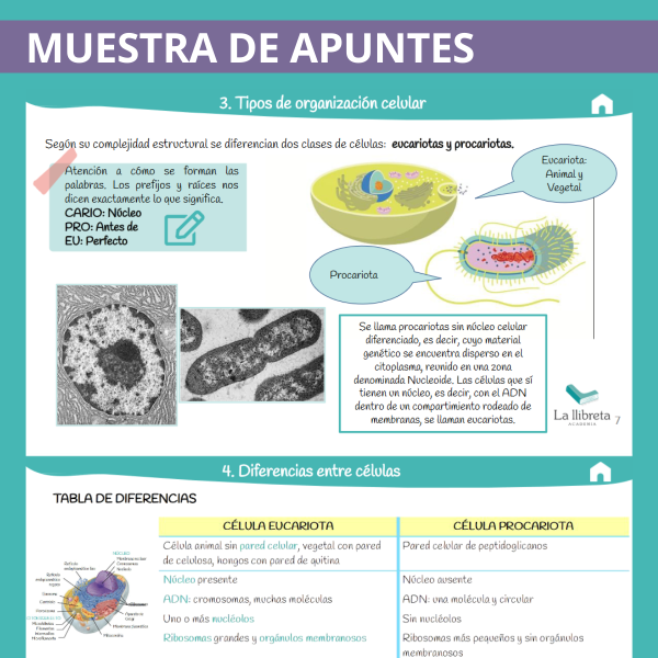 Muestra apuntes biología PAGS