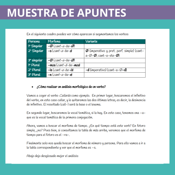 Apuntes lengua PAU