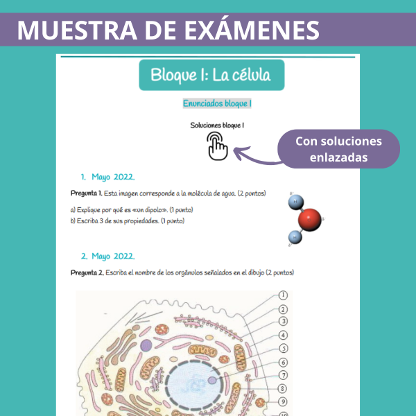 Muestra exámenes biología PAGS