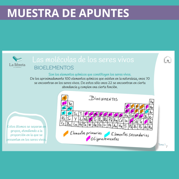 Muestra de apuntes biología PAU+25