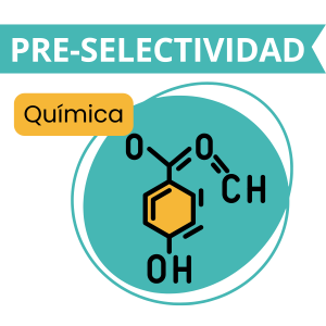 Curso básico de química pre selectividad