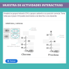 Muestra de actividades autocorregibles biología PAU