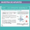 Muestra de apuntes biología PAU