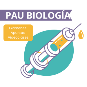 Ilustración de una jeringa representando el curso de Biología PAU con exámenes, apuntes y videoclases